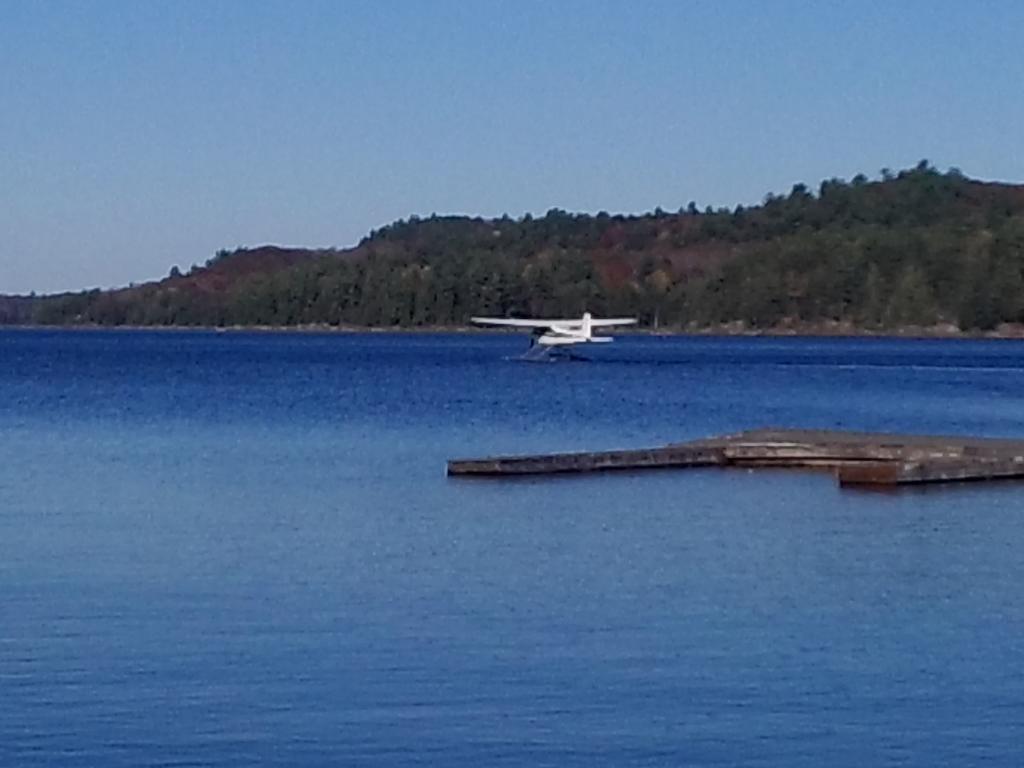 Little Hawk Resort & Marina Algonquin Highlands Eksteriør billede
