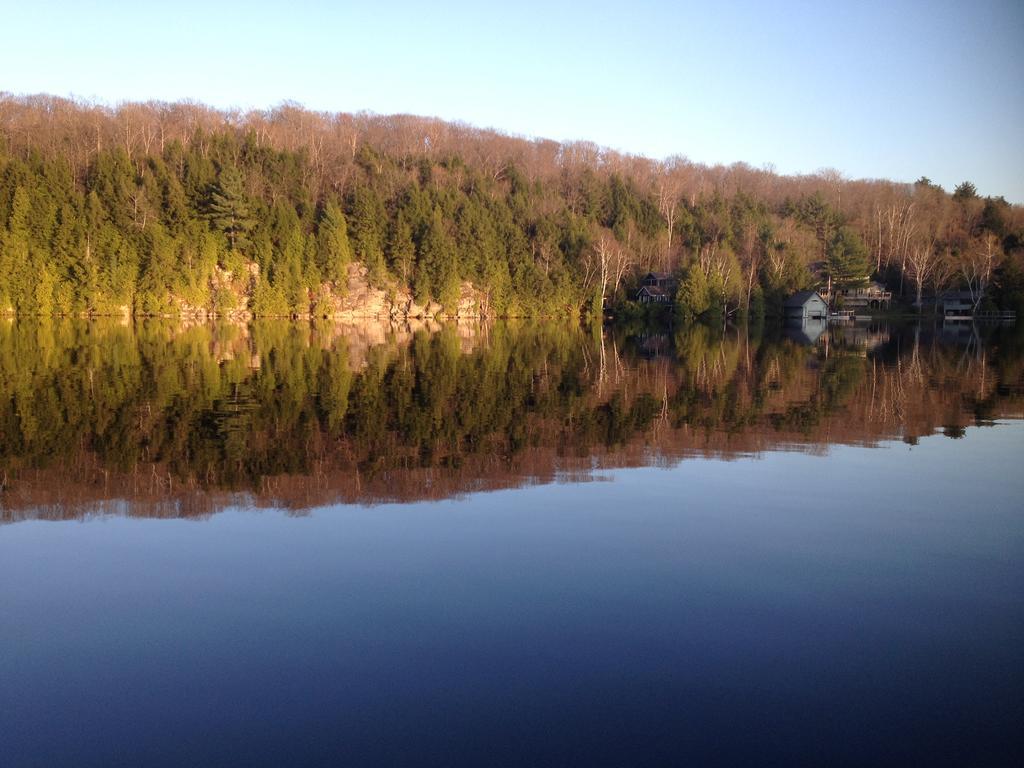Little Hawk Resort & Marina Algonquin Highlands Eksteriør billede